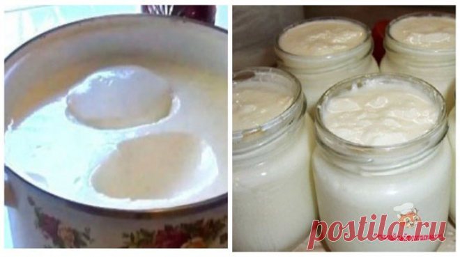 Домашний варенец - один из самых полезных продуктов в мире