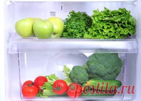 Волшебство обычного огурца