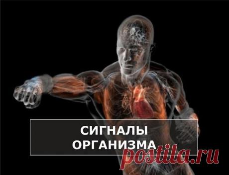 КАК НАШ ОРГАНИЗМ РЕАГИРУЕТ НА ПРОБЛЕМЫ СО ЗДОРОВЬЕМ 

Повышенная потливость 
Обследуйте щитовидную железу. Если обильно потеете ночью – это признак нервного истощения. 

Медленное заживление ран 
У вас дефицит цинка, который восполняется морепродуктами и бобовыми. 

Запах изо рта 
Если он не связан с вчерашним бурным застольем или нечищеными зубами, то стоит проверить уровень сахара в крови (диабет), «просветить» печень, почки (аммиачный запах), вылечить хронический бронхи...