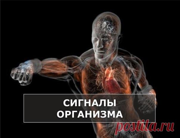 КАК НАШ ОРГАНИЗМ РЕАГИРУЕТ НА ПРОБЛЕМЫ СО ЗДОРОВЬЕМ 

Повышенная потливость 
Обследуйте щитовидную железу. Если обильно потеете ночью – это признак нервного истощения. 

Медленное заживление ран 
У вас дефицит цинка, который восполняется морепродуктами и бобовыми. 

Запах изо рта 
Если он не связан с вчерашним бурным застольем или нечищеными зубами, то стоит проверить уровень сахара в крови (диабет), «просветить» печень, почки (аммиачный запах), вылечить хронический бронхи...