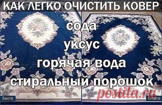 Как легко очистить ковер 

Чтобы сократить траты на средства для мытья ковров, которые нам предлагают купить в магазинах, давайте сделаем средство для мытья ковров сами. Это средство будет в разы дешевле, без бесконечного списка химии с составе и самое главное - оно будет чистить. 

Итак, нам понадобится пустая тара среднего размера с распылителем, в которую мы добавим: 
Показать полностью…