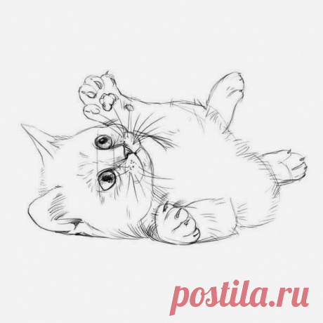 Рисуем карандашом милого котика 😻