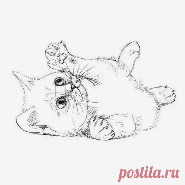 Рисуем карандашом милого котика 😻