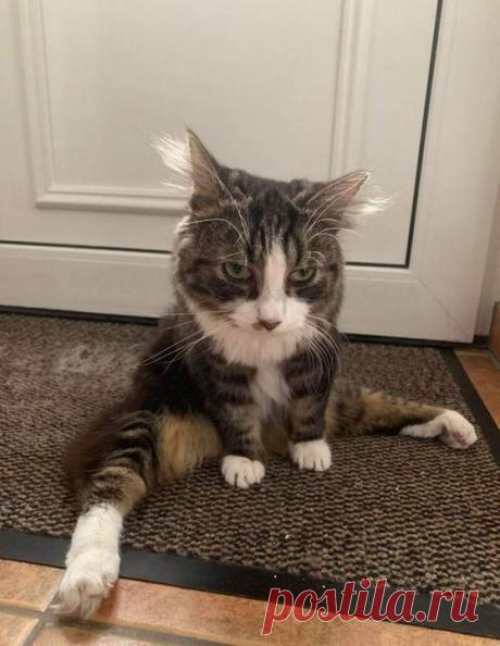 Пятница))) - Жаккард - Страна Мам