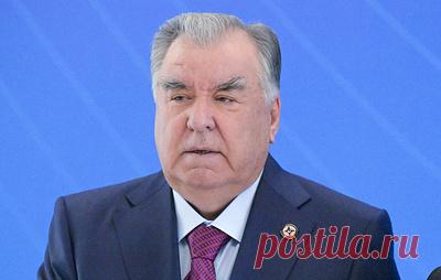 Рахмон: товарооборот между Таджикистаном и РФ увеличился почти на 20%. Президент Таджикистана отметил, что сотрудничество стран идет по плану