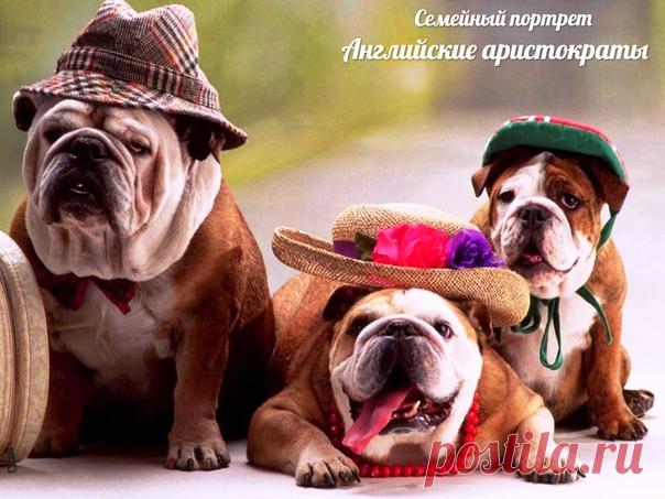 Елена Федорищева