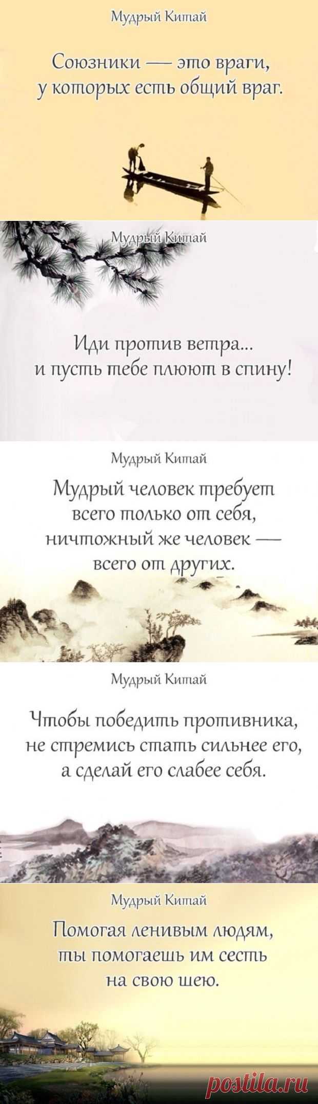 Мудрости дракона — Болтай