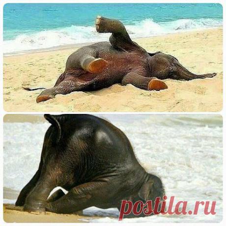 (48) Одноклассники
