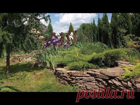 Хвойные растения в ландшафтном дизайне моего сада. Часть 3. Северная часть участка. | Дневник Божьей Коровки | Яндекс Дзен