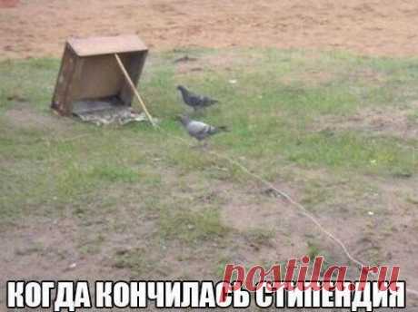 Когда закончилась стипендия