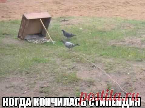 Когда закончилась стипендия