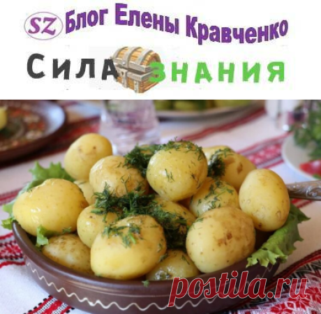 Самые вкусные сорта картофеля