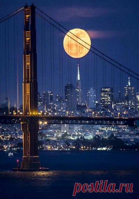 Golden Gate