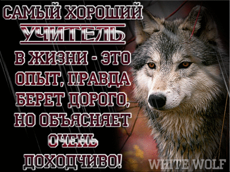 Для того, чтобы изменить свое мнение о человеке, достаточно хотя бы раз обратиться к нему за помощью.