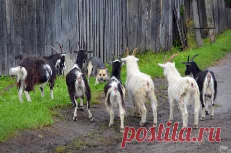 В окружении