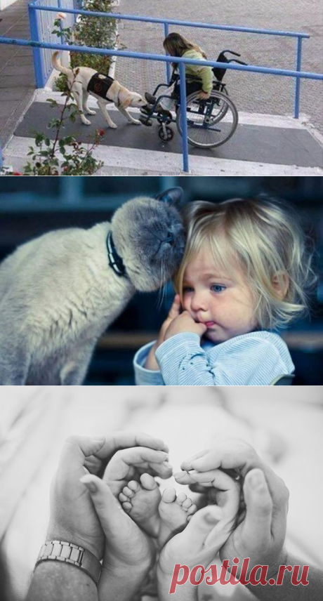 Больше, чем просто фото...