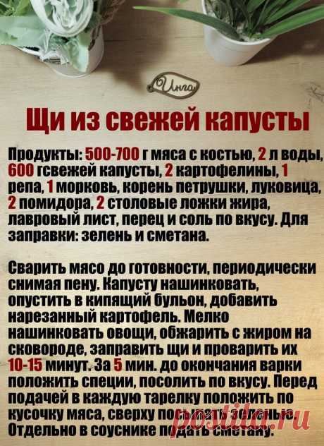 Щи из свежей капусты