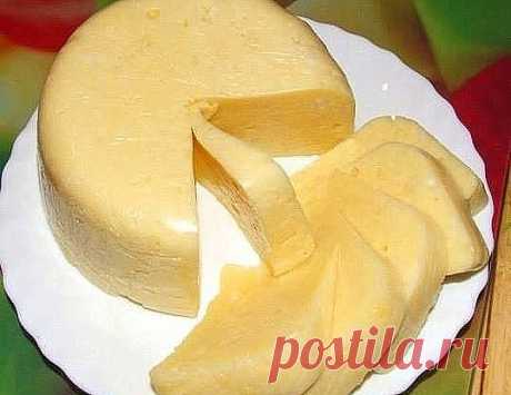 Очень вкусный домашний сыр. 
500 мл молока 
500мл кефира 
2 яйца 
Соль по вкусу 
Взбить вместе яйца, кефир и соль и влить в кипящее молоко. Снова довести до кипения, постоянно помешивая, но не кипятить, выключить огонь и дать постоять 3-5 минут, отцедить через марлю, подвесить марлю с сыром и дать сыворотке полностью стечь (около часа) и положить под пресс. Сверху груз весом около 1 кг. Через 2-3 часа убрать в холодильник. 
Можно добавить 1-2 чайной ложки тмина, по желанию.