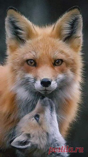 Семья и дети 👨‍👩‍👧‍👦