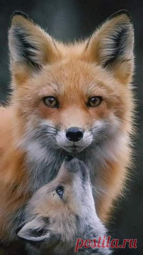 Семья и дети 👨‍👩‍👧‍👦