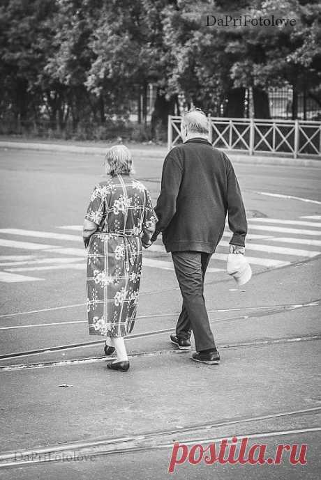 Gallery.ru / Фото #17 - Мой Петербург - DaPriFotolove