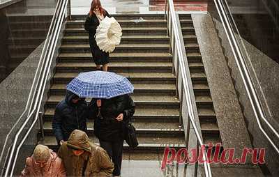 В ОП РФ предупредили о штрафах за неоплату переработок. Член комиссии Общественной палаты по общественной экспертизе законопроектов и иных нормативных актов Евгений Машаров отметил, что за первые два часа сверхурочной работы положена как минимум полуторная оплата