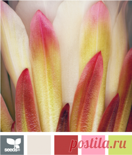 Цветы, деревья — источник вдохновения! | BepHuK собирает друзей