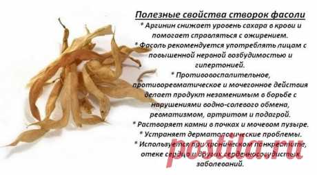Полезные свойства створок фасоли