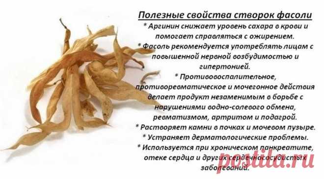 Полезные свойства створок фасоли