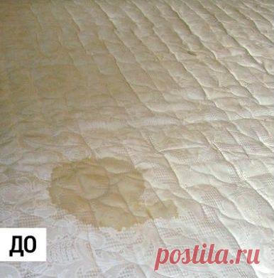 Учимся выводить пятна на матрасе Произошло так, что любимый матрас пришел в негодность? Конечно, казусы случаются, особенно если в доме есть маленькие детки… Имея под рукой минимальный набор компонентов, можно удалить с матраса пятна мочи, крови, вина всего за 3 шага!