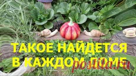 Как Сделать из Цемента Кирпичики для Садового Бордюра Своими Руками / artesanias hechas de cemento