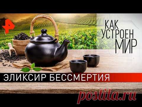 Эликсир бессмертия. «Как устроен мир