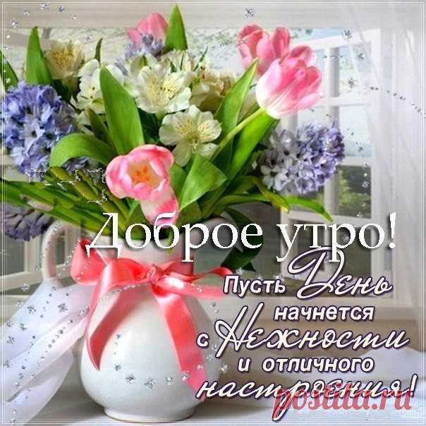 Новый день, и надежды новые, И слова и дела и встречи... Пусть в нём будет всё самое доброе, Пусть он будет любовью отмечен. Доброты, теплоты, внимания, Самых ярких улыбок нежных Пусть сбываются ваши желания И становятся явью надежды! С Добрым предобрым утром!
