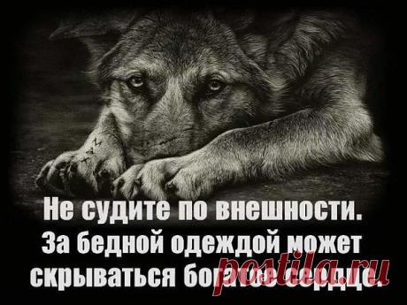 Интересные новости