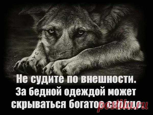 Интересные новости