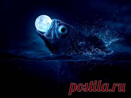 Полнолуние 2 сентября 2020 года: что можно делать и что нельзя Полнолуние в Рыбах — таинственное и непредсказуемое время. Известно, что на такой день обычно приходятся большое количество несчастных случаев, расставаний, потерь и ошибок. Но на самом деле все зависит от того, на что вы будете настроены 2 сентября.