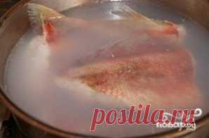 Уха из морского окуня - пошаговый рецепт с фото на Повар.ру