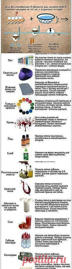 (4) Одноклассники