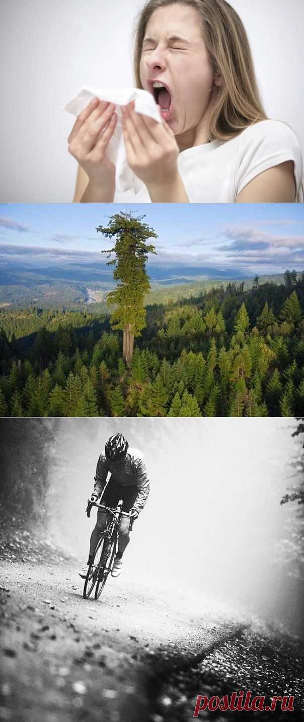 Вита Жан