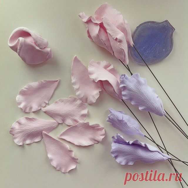 Екатерина Звержанская (@fito_art) • Фото и видео в Instagram
