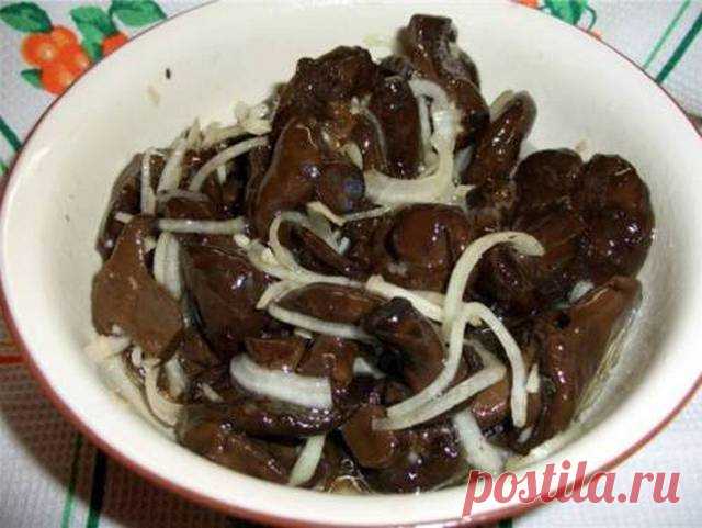 Как солить свинухи в домашних условиях вкусно и просто