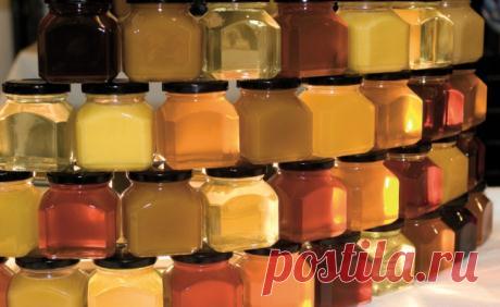 Виды мёда | likefoods.ru