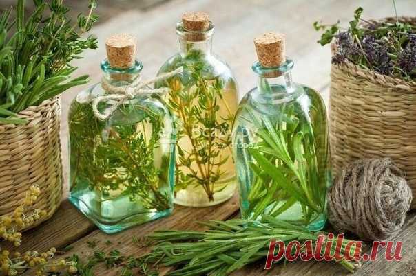 СТАРИННЫЕ РЕЦЕПТЫ ЦЕЛЕБНЫХ САМОГОНОВ

САМОГОН «АРДЕЛЬНЫЙ»

2 г гвоздики,
Показать полностью...