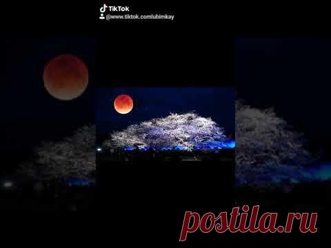 ВСЕМ СПОКОЙНОЙ НОЧИ #спокойнойночи​