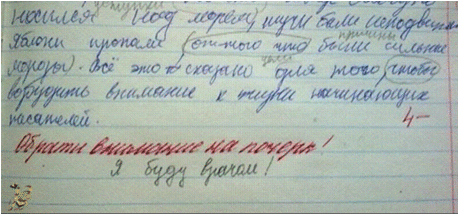 ЗАПИСИ В ДНЕВНИКАХ