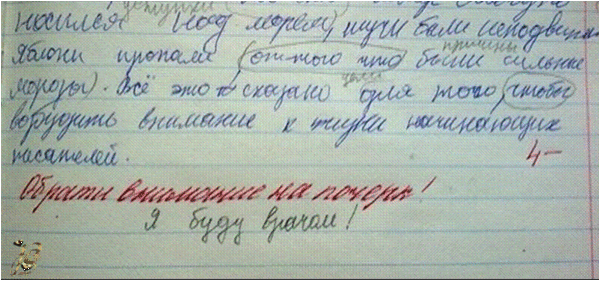 ЗАПИСИ В ДНЕВНИКАХ