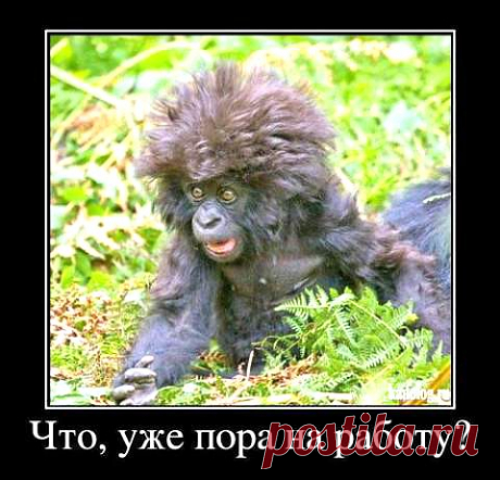 Что, уже пора на работу? | Демотиватор