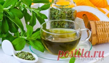 15 полезных добавок к чаю