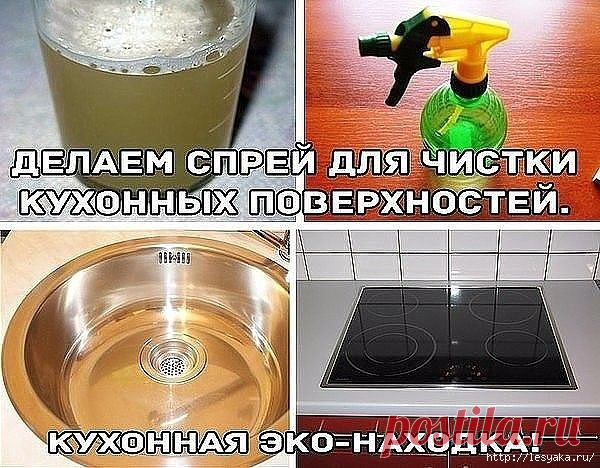 сообщение ИНТЕРЕСНЫЙ_БЛОГ_ЛесякаРу : ЭКО-СПРЕЙ ДЛЯ ЧИСТКИ КУХОННЫХ ПОВЕРХНОСТЕЙ своими руками! (16:20 15-10-2015) [3925073/374246337] - allavict2008@mail.ru - Почта Mail.Ru
