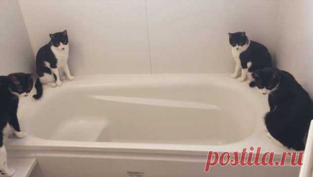 15 фото, на которых происходит не пойми что. Но понять хочется . Милая Я